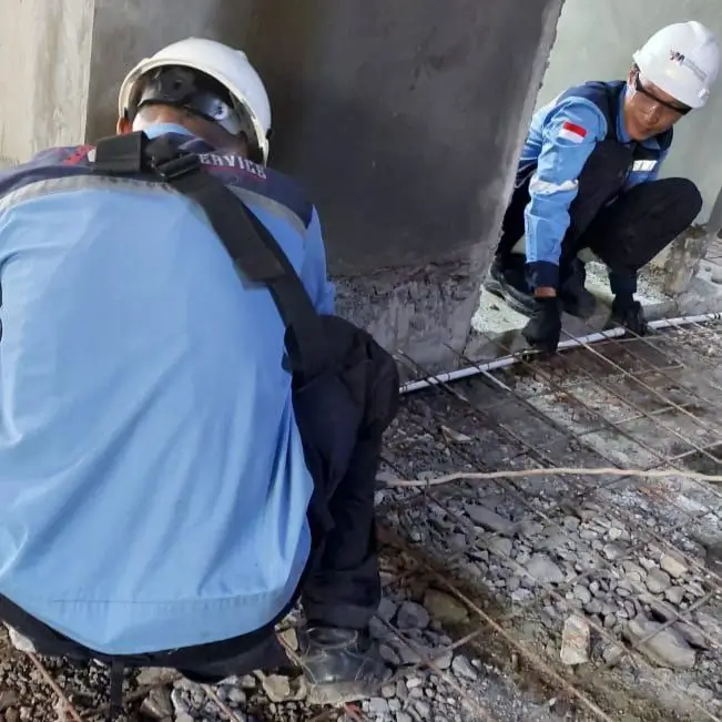 jasa anti rayap dan pest control