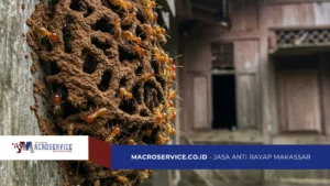 inspeksi rayap mandiri