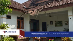 jasa anti rayap jakarta