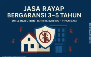 Jasa rayap